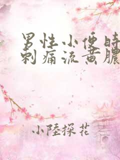 男性小便时尿道刺痛流黄脓