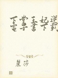 下堂王妃逆袭记电子书下载