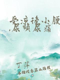 受凉后小腹坠胀,尿频尿痛