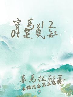 宝马x1 2.0t是几缸