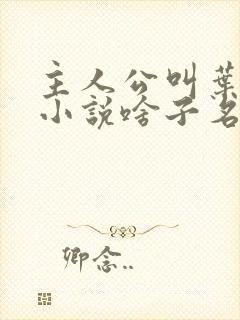 主人公叫叶凡的小说啥子名字