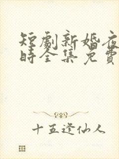 短剧新婚夜离婚时全集免费观看