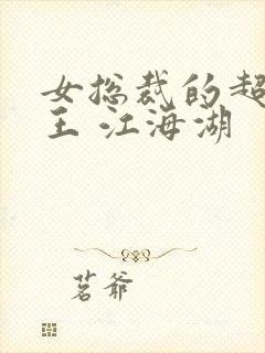 女总裁的超级兵王 江海湖
