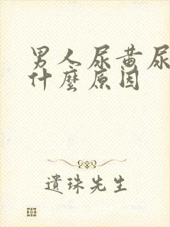 男人尿黄尿臭是什么原因