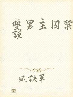 双男主囚禁类小说