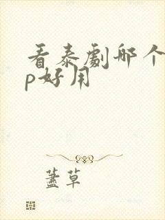 看泰剧哪个app好用