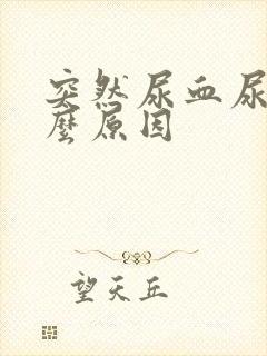 突然尿血尿是什么原因