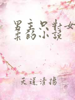 男主只对女主温柔的小说