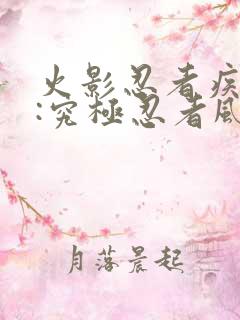 火影忍者疾风传:究极忍者风暴