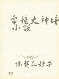 电竞大神暗恋我 小说