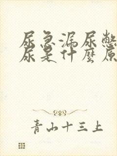 尿急漏尿憋不住尿是什么原因