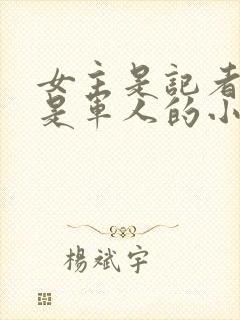 女主是记者男主是军人的小说