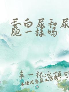 蛋白尿和尿白细胞一样吗