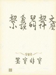 黎鸢儿黎文彦的小说叫什么名字