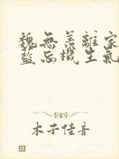 魏无羡离家出走蓝忘机生气