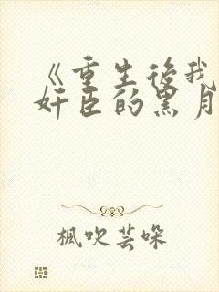 《重生后我成了奸臣的黑月光》