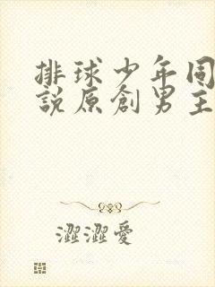 排球少年同人小说原创男主