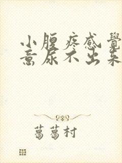 小腹疼感觉有尿意尿不出来