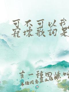 可不可以我把你宠坏歌词是哪首歌