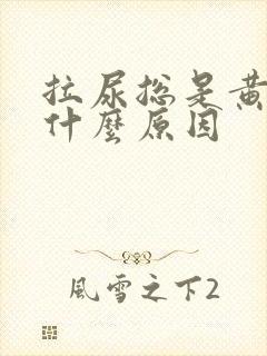 拉尿总是黄的是什么原因