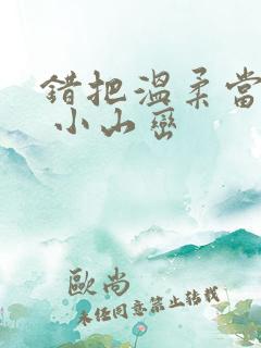 错把温柔当情深 小山峦