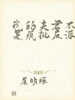 我的夫君不可能是疯批反派小说