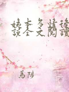 姨本多情后宫小说全文阅读免费