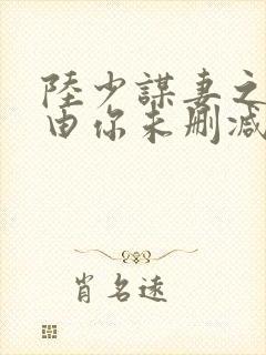 陆少谋妻之婚不由你未删减版