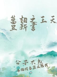 万相之王天蚕土豆新书