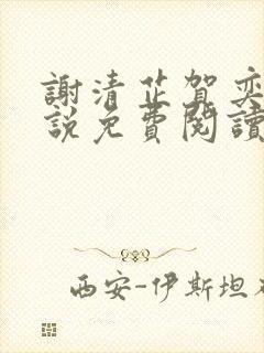 谢清芷贺奕川小说免费阅读最新章节