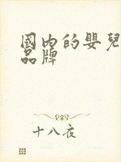 国内的婴儿用品品牌