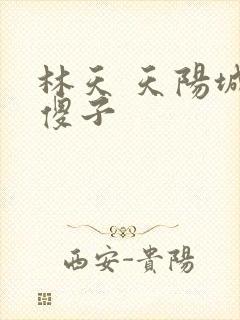 林天 天阳城 傻子