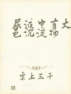 尿液中有大量白色沉淀物