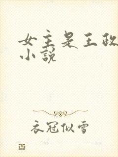 女主是王政君的小说
