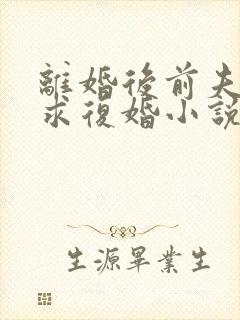 离婚后前夫哭着求复婚小说全文在线阅读