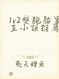 1v2双胞胎男主小说推荐