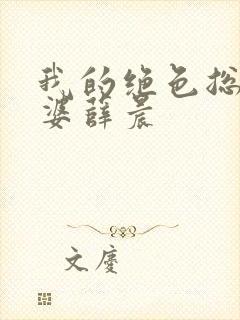 我的绝色总裁老婆薛晨