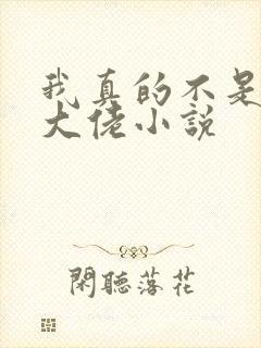 我真的不是女装大佬小说