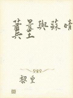 萧晨与苏晴全能兵王