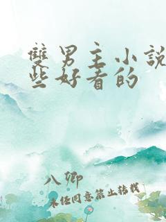 双男主小说有哪些好看的