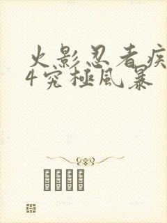 火影忍者疾风传4究极风暴