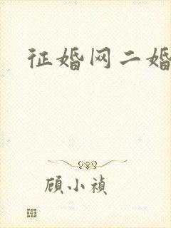 征婚网二婚
