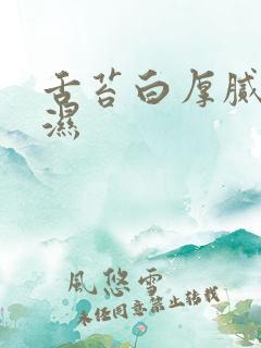 舌苔白厚腻 痰湿