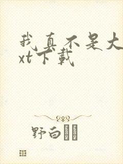 我真不是大佬txt下载