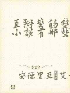 直掰弯的双男主小说有哪些