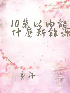 10万以内能买什么新能源汽车