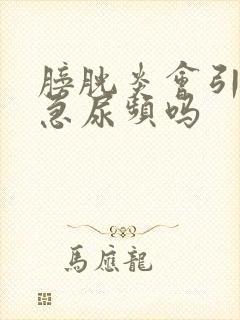 膀胱炎会引起尿急尿频吗