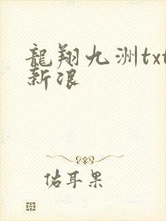 龙翔九洲txt新浪
