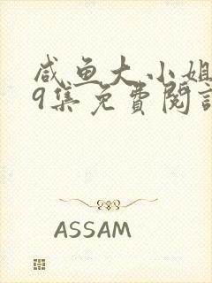 咸鱼大小姐359集免费阅读