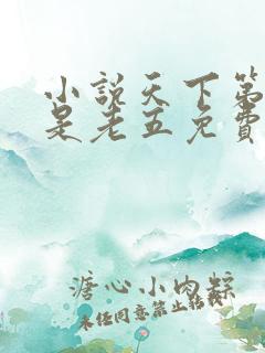 小说天下第九鹅是老五免费版